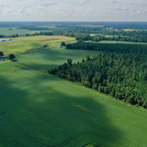 Photo #8 of SOLD property in Off Vandiford Thomas Road, Snow Hill, NC 60.8 acres