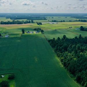 Photo #9 of SOLD property in Off Vandiford Thomas Road, Snow Hill, NC 60.8 acres