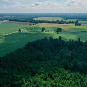 Photo #10 of SOLD property in Off Vandiford Thomas Road, Snow Hill, NC 60.8 acres