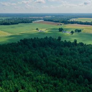 Photo #11 of SOLD property in Off Vandiford Thomas Road, Snow Hill, NC 60.8 acres