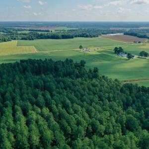Photo #12 of SOLD property in Off Vandiford Thomas Road, Snow Hill, NC 60.8 acres