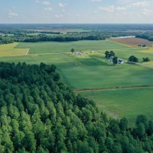 Photo #13 of SOLD property in Off Vandiford Thomas Road, Snow Hill, NC 60.8 acres
