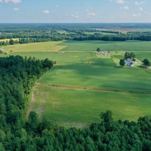 Photo #14 of SOLD property in Off Vandiford Thomas Road, Snow Hill, NC 60.8 acres