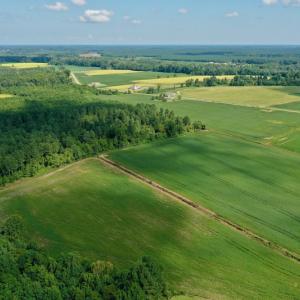 Photo #15 of SOLD property in Off Vandiford Thomas Road, Snow Hill, NC 60.8 acres