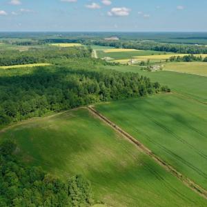 Photo #16 of SOLD property in Off Vandiford Thomas Road, Snow Hill, NC 60.8 acres