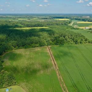 Photo #17 of SOLD property in Off Vandiford Thomas Road, Snow Hill, NC 60.8 acres