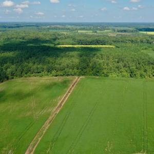 Photo #18 of SOLD property in Off Vandiford Thomas Road, Snow Hill, NC 60.8 acres