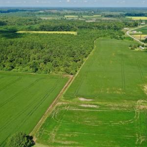 Photo #19 of SOLD property in Off Vandiford Thomas Road, Snow Hill, NC 60.8 acres