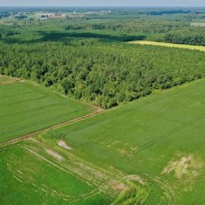 Photo #20 of SOLD property in Off Vandiford Thomas Road, Snow Hill, NC 60.8 acres