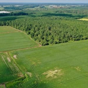 Photo #21 of SOLD property in Off Vandiford Thomas Road, Snow Hill, NC 60.8 acres