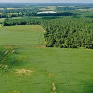 Photo #22 of SOLD property in Off Vandiford Thomas Road, Snow Hill, NC 60.8 acres