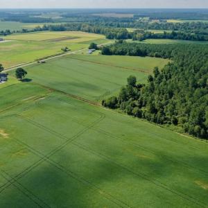 Photo #23 of SOLD property in Off Vandiford Thomas Road, Snow Hill, NC 60.8 acres