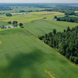 Photo #24 of SOLD property in Off Vandiford Thomas Road, Snow Hill, NC 60.8 acres