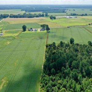 Photo #25 of SOLD property in Off Vandiford Thomas Road, Snow Hill, NC 60.8 acres