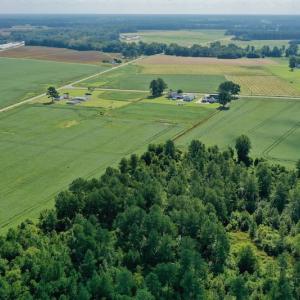 Photo #26 of SOLD property in Off Vandiford Thomas Road, Snow Hill, NC 60.8 acres