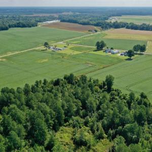 Photo #27 of SOLD property in Off Vandiford Thomas Road, Snow Hill, NC 60.8 acres