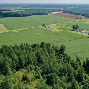 Photo #28 of SOLD property in Off Vandiford Thomas Road, Snow Hill, NC 60.8 acres