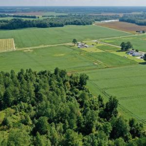 Photo #29 of SOLD property in Off Vandiford Thomas Road, Snow Hill, NC 60.8 acres