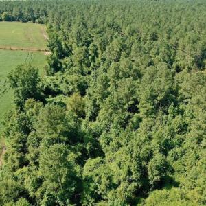 Photo #31 of SOLD property in Off Vandiford Thomas Road, Snow Hill, NC 60.8 acres