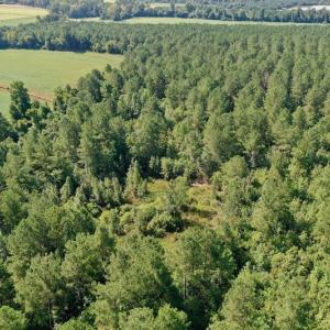 Photo #32 of SOLD property in Off Vandiford Thomas Road, Snow Hill, NC 60.8 acres