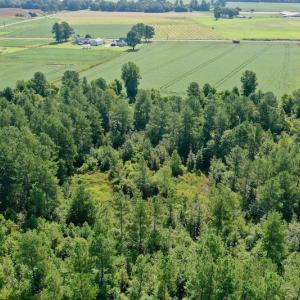 Photo #33 of SOLD property in Off Vandiford Thomas Road, Snow Hill, NC 60.8 acres