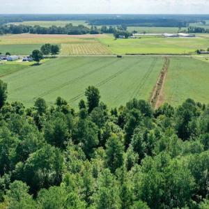 Photo #36 of SOLD property in Off Vandiford Thomas Road, Snow Hill, NC 60.8 acres