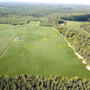 Photo #2 of SOLD property in Off White Oak Drive, Spring Grove, VA 85.0 acres