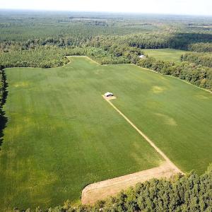 Photo #3 of SOLD property in Off White Oak Drive, Spring Grove, VA 85.0 acres