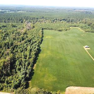 Photo #4 of SOLD property in Off White Oak Drive, Spring Grove, VA 85.0 acres