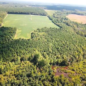 Photo #6 of SOLD property in Off White Oak Drive, Spring Grove, VA 85.0 acres