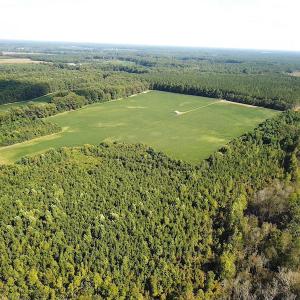 Photo #7 of SOLD property in Off White Oak Drive, Spring Grove, VA 85.0 acres