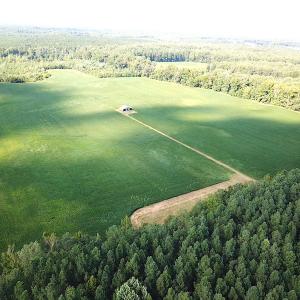 Photo #9 of SOLD property in Off White Oak Drive, Spring Grove, VA 85.0 acres