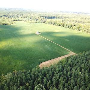 Photo #9 of SOLD property in Off White Oak Drive, Spring Grove, VA 85.0 acres