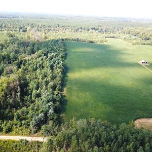 Photo #10 of SOLD property in Off White Oak Drive, Spring Grove, VA 85.0 acres
