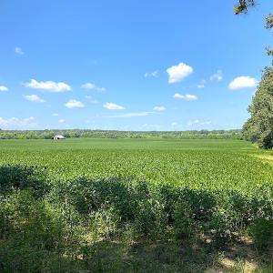 Photo #11 of SOLD property in Off White Oak Drive, Spring Grove, VA 85.0 acres