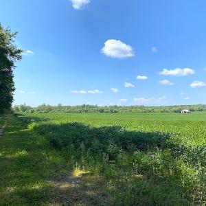 Photo #12 of SOLD property in Off White Oak Drive, Spring Grove, VA 85.0 acres