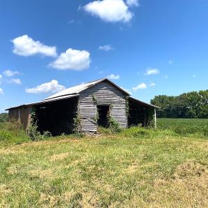 Photo #13 of SOLD property in Off White Oak Drive, Spring Grove, VA 85.0 acres