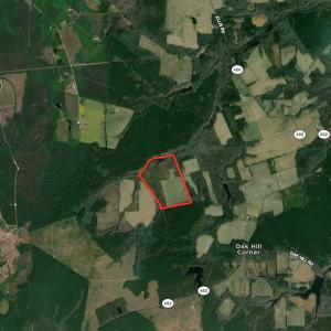 Photo #18 of SOLD property in Off White Oak Drive, Spring Grove, VA 85.0 acres