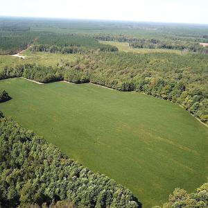 Photo #2 of SOLD property in Off Laurel Springs Road, Spring Grove, VA 27.0 acres