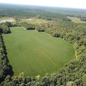 Photo #3 of SOLD property in Off Laurel Springs Road, Spring Grove, VA 27.0 acres