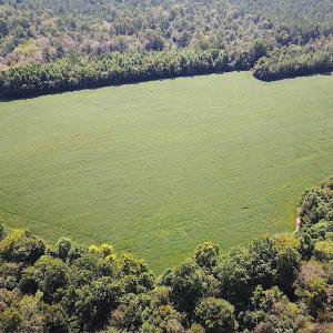 Photo #4 of SOLD property in Off Laurel Springs Road, Spring Grove, VA 27.0 acres