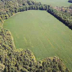 Photo #5 of SOLD property in Off Laurel Springs Road, Spring Grove, VA 27.0 acres