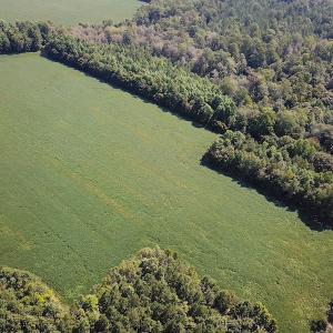 Photo #6 of SOLD property in Off Laurel Springs Road, Spring Grove, VA 27.0 acres