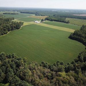 Photo #7 of SOLD property in Off Laurel Springs Road, Spring Grove, VA 27.0 acres