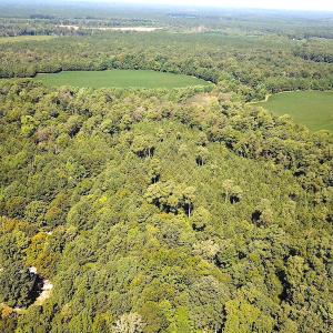 Photo #8 of SOLD property in Off Laurel Springs Road, Spring Grove, VA 27.0 acres