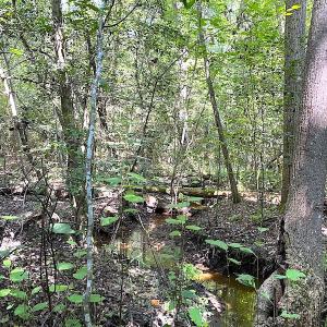 Photo #16 of SOLD property in Off Laurel Springs Road, Spring Grove, VA 27.0 acres