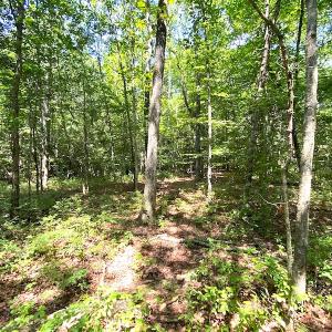 Photo #22 of SOLD property in Off Laurel Springs Road, Spring Grove, VA 27.0 acres