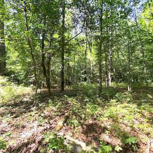Photo #23 of SOLD property in Off Laurel Springs Road, Spring Grove, VA 27.0 acres