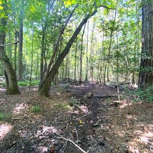 Photo #24 of SOLD property in Off Laurel Springs Road, Spring Grove, VA 27.0 acres