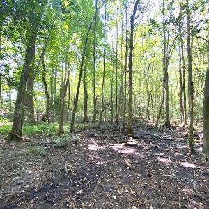 Photo #25 of SOLD property in Off Laurel Springs Road, Spring Grove, VA 27.0 acres